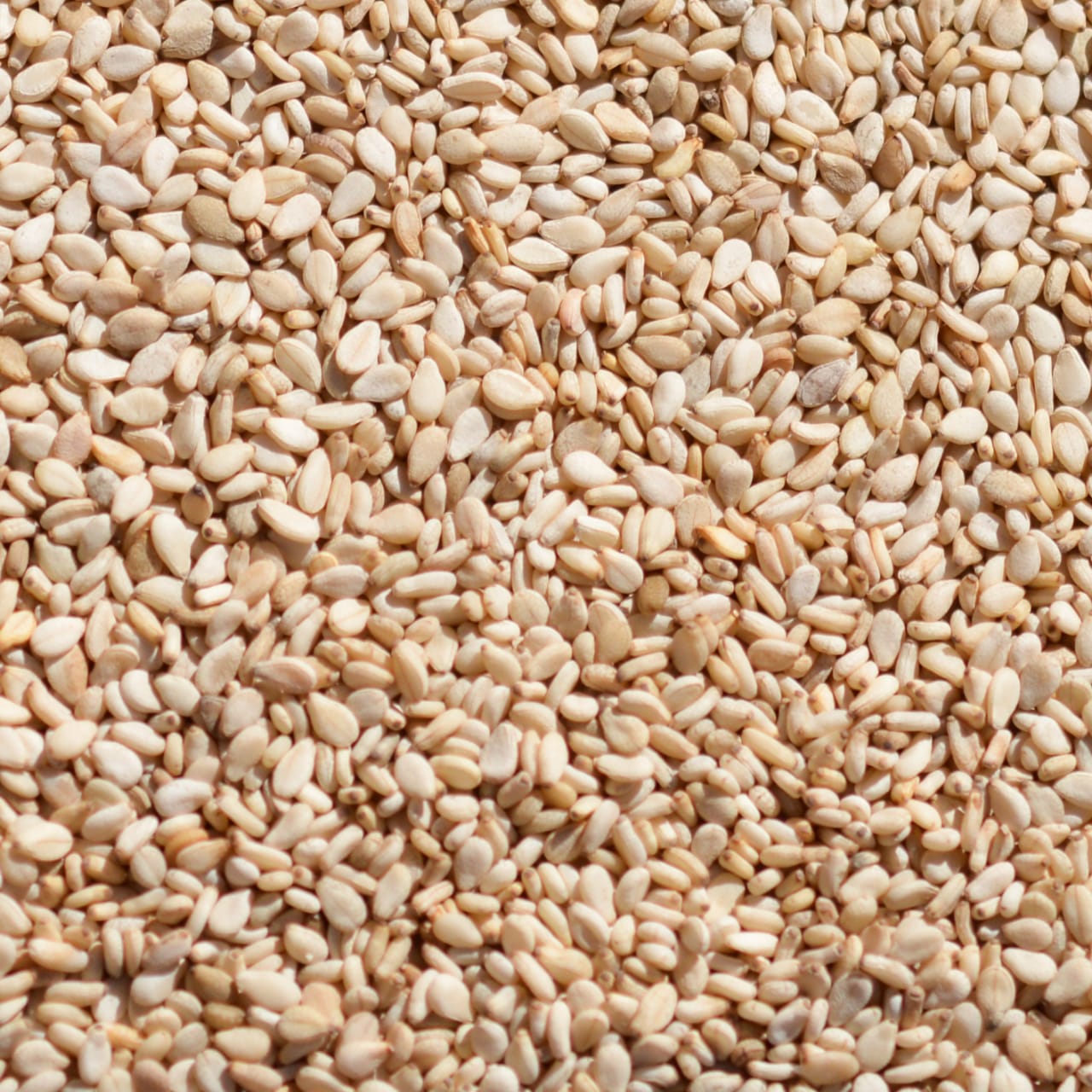 Natural sesame seeds