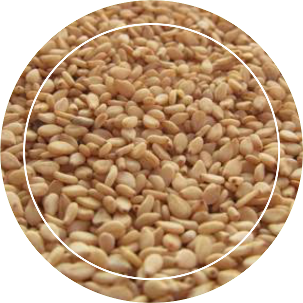 image_icon